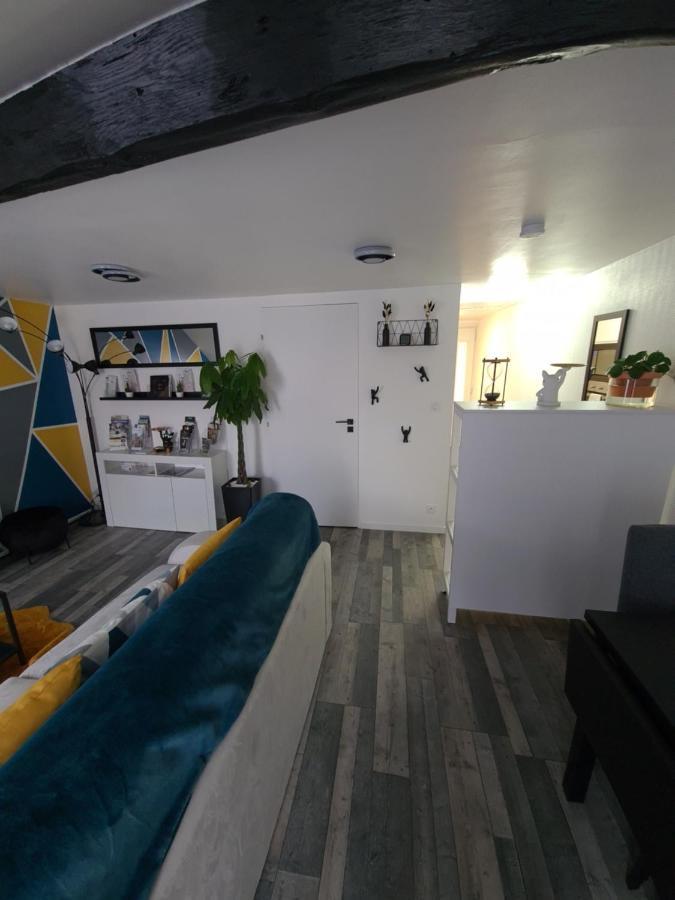 Un Appartement Qui A Du Chien Épernay Exterior foto
