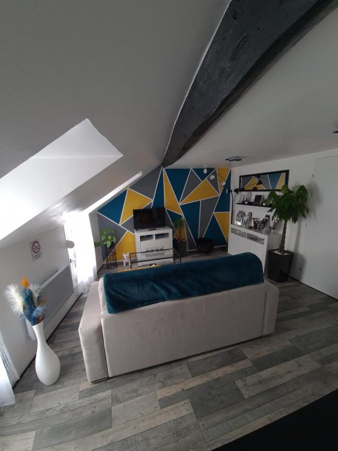 Un Appartement Qui A Du Chien Épernay Exterior foto